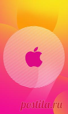 Как протереть внутреннюю поверхность стекла планшетного сканера