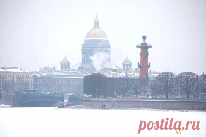 В Петербурге заметили туман - 8 февраля 2025 - ФОНТАНКА.ру