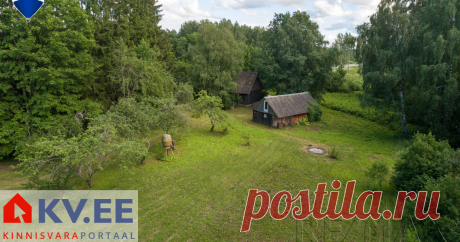 Müüa maja - Napu-Sepa, Kobratu, Tartu vald, Tartumaa Tartust ca 15 km kaugusel asuv oma väikese metsatukaga kinnistu, millel asuvad vana renoveerimist vajav palkmaja ja saunamaja.

Osa majast- esik sahver, köök ja kolm tuba on olnud kasutuses. Kaks suurt ruumi on välja ehitamata. Samuti on majal kõrge pööningukorrus, mille arvelt võimalik  elamispinda  juurde tekitada.

Vesi oma kaevust. Elektrivõimsus 16A. Küttekehadeks Pioneer pliit, kamin ja ahi. 

Saunamaja vajab samuti renoveerimist.