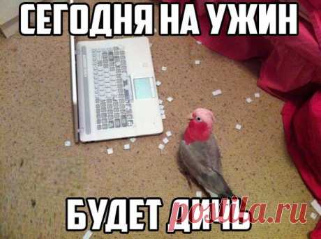 )))