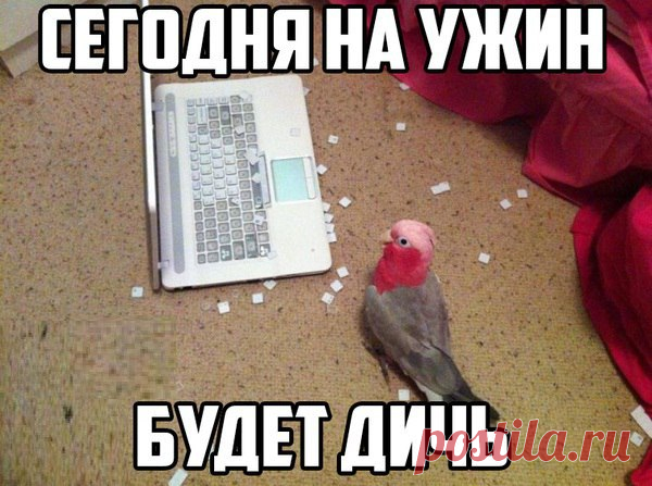 )))