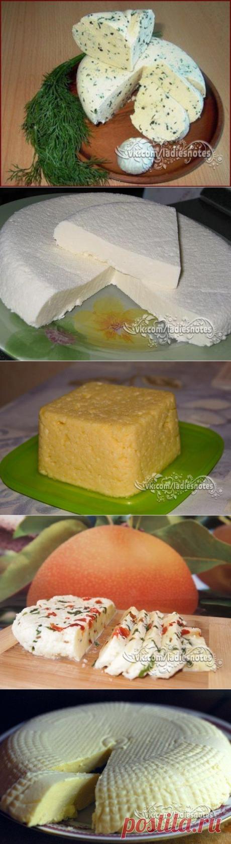 ТОР - 14 Подборка вкусных домашних сыров!