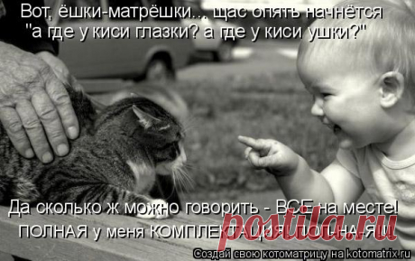 Котоматрица: Случайные котоматрицы