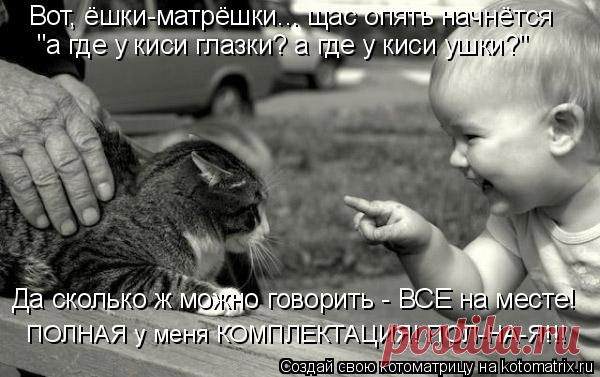 Котоматрица: Случайные котоматрицы