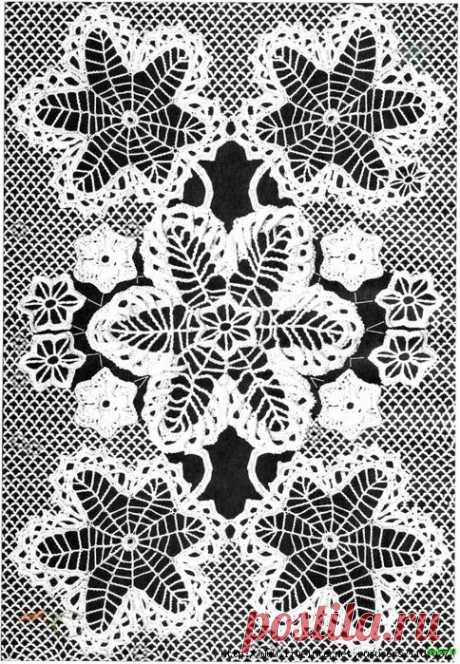 321fc672.jpg (484×699)