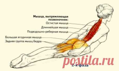 Свобода - Сделай сам : AdMe — Творчество. Свобода. Жизнь.