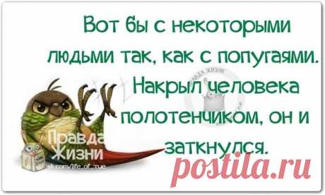 Правда Жизни | Юмор, Мотивация, Сарказм, Цитаты