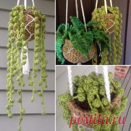 Yup, you read right, you can now crochet a succulent. And in this particular piece, you shall be learning how
