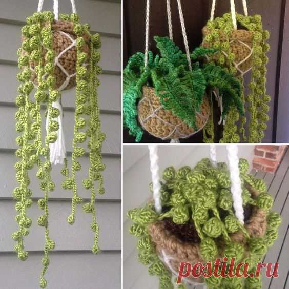 Yup, you read right, you can now crochet a succulent. And in this particular piece, you shall be learning how