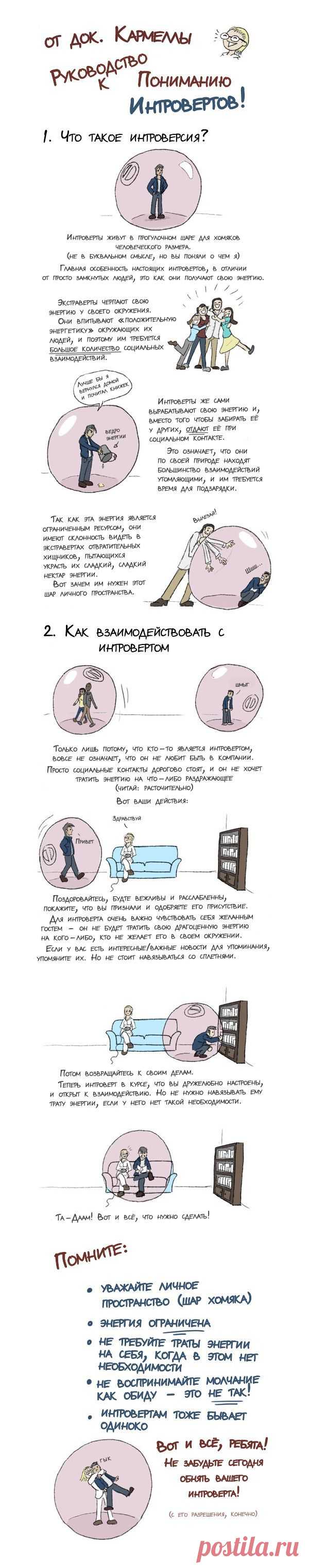 Руководство к пониманию интровертов - 4 Октября 2013 - Все интересное - speromelius