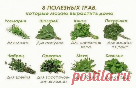 (6) Одноклассники