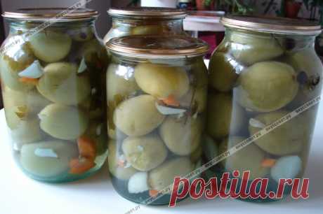 Маринованные зеленые помидоры пошаговый рецепт с фото