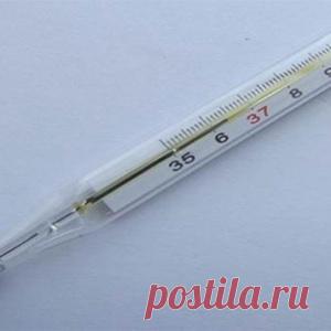 Проверьте щитовидную железу. Всё, что вам нужно, — только термометр!