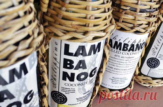 6 почти неизвестных напитков, за которыми надо проехать полмира