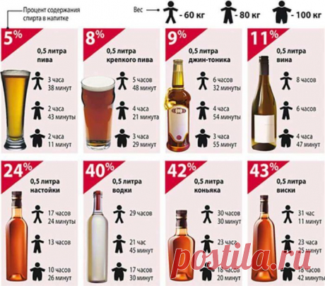 Сколько держится алкоголь в организме: человека, таблица, пиво, ликер, какой