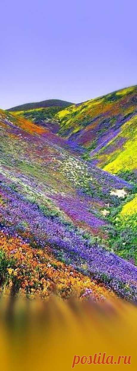 ♥ Himalayas Tibet | nature