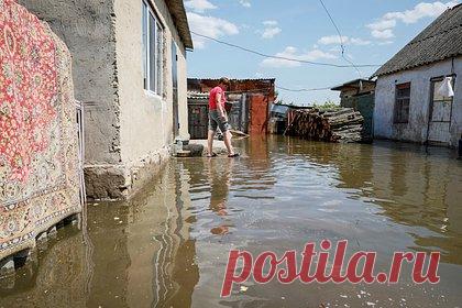 В Новой Каховке полностью сошла вода после ЧП на Каховской ГЭС. В Новой Каховке полностью сошла вода, которая затопила город после удара украинских войск по Каховской гидроэлектростанции (ГЭС). По состоянию на 11 июня вода полностью ушла с улиц города. При этом власти Новой Каховки добавили, что некоторые объекты инфраструктуры, находящиеся в прибрежной зоне, все еще затоплены.