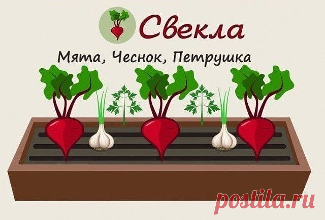 (48) Одноклассники