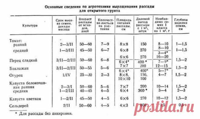 15 самых серьезных ошибок при выращивании рассады