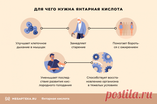 Янтарная кислота: показания к применению взрослым, полезные свойства