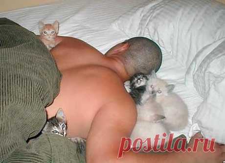 Вот такой вот инкубатор!