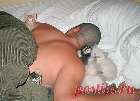 Вот такой вот инкубатор!