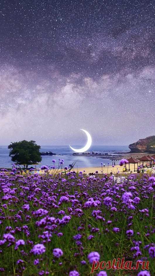 Google+