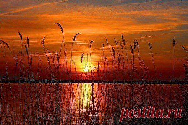 Янтарный вечер