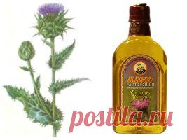 расторопши для здоровья печени | Советы Народной Мудрости