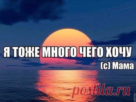 Лучшие цитаты дня / Писец - приколы интернета