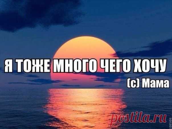 Лучшие цитаты дня / Писец - приколы интернета