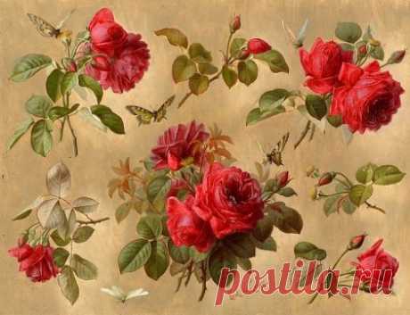 paul de longpre paintings - Google Search