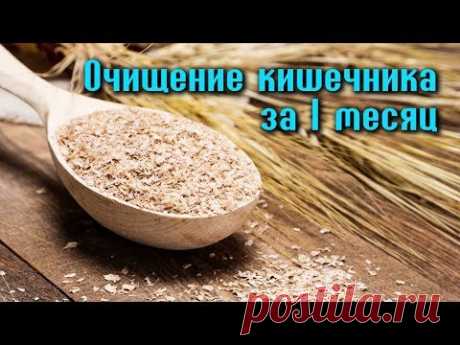 КАК ОЧИСТИТЬ КИШЕЧНИК ЗА 1 МЕСЯЦ С ПОМОЩЬЮ ОТРУБЕЙ? - YouTube