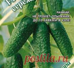 Огурец Изумрудные серёжки F1 семена - низкая цена, описание, отзывы, продажа