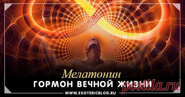 Мелатонин - гормон вечной жизни 
 
Именно в эпифизе содержатся информационные матрицы, своеобразные голограммы, в которых хранится информация обо всем, что касается данного индивида, в том числе и о его предыдущих жизнях. Это самый …