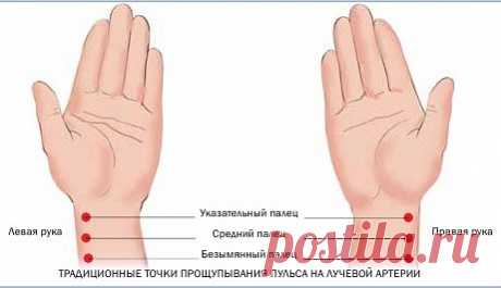 ДИАГНОСТИЧЕСКИЕ МЕТОДИКИ.
Сегодня наряду с современными и общепринятыми методами существует и целый ряд альтернативных методов диагностики, большинство из которых уходят корнями в древнюю медицину. Вот некоторые из них.

ДАИГНОСТИКА ПО ПУЛЬСУ.
Это высший метод диагностики, которого достигла  восточная  медицина  за  многотысячелетнюю историю  своего  существования.  Исследуя  пульс больного, врач может рассказать, чем болел пациент на протяжении жизни, какая болезнь и в ка...
