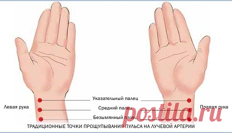 ДИАГНОСТИЧЕСКИЕ МЕТОДИКИ.
Сегодня наряду с современными и общепринятыми методами существует и целый ряд альтернативных методов диагностики, большинство из которых уходят корнями в древнюю медицину. Вот некоторые из них.

ДАИГНОСТИКА ПО ПУЛЬСУ.
Это высший метод диагностики, которого достигла  восточная  медицина  за  многотысячелетнюю историю  своего  существования.  Исследуя  пульс больного, врач может рассказать, чем болел пациент на протяжении жизни, какая болезнь и в ка...