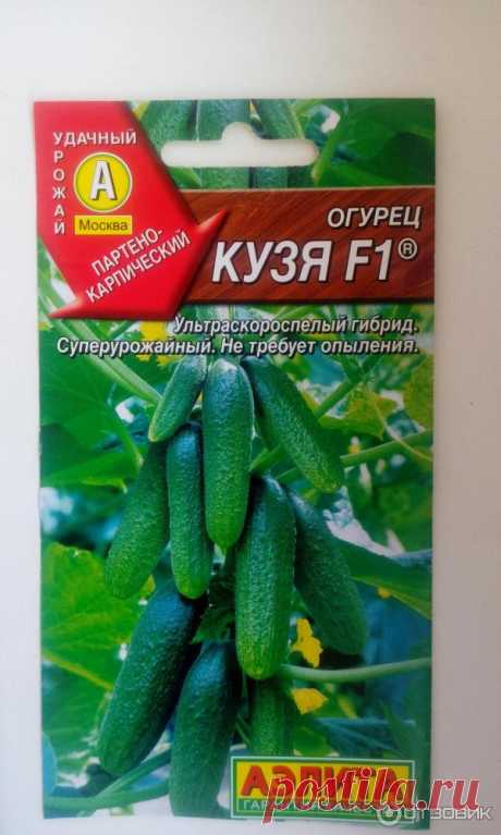 Кузя огурцы отзывы Огород без хлопот - информационный сайт для дачников, садоводов и огородников.