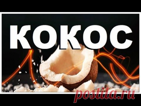 Галилео. Кокос