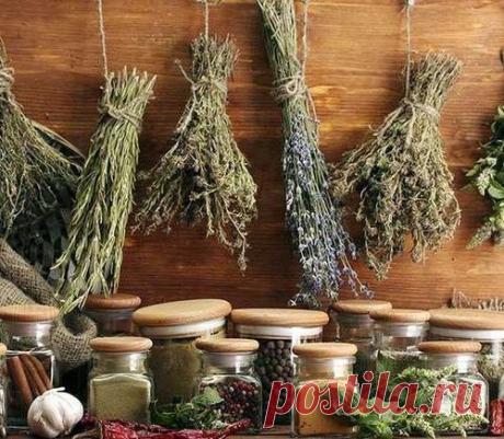 ВРЕМЯ ПРИНЯТИЯ ЛЕКАРСТВ И ТРАВ.