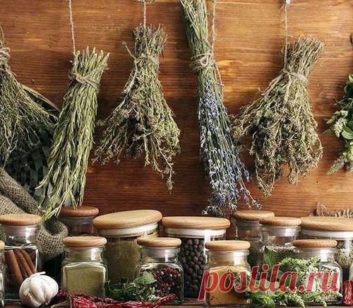 ВРЕМЯ ПРИНЯТИЯ ЛЕКАРСТВ И ТРАВ.