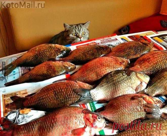 Это судьба!