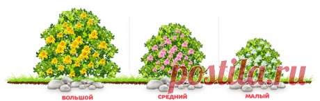 GoldenTea - Играй и зарабатывай!