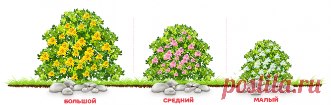 GoldenTea - Играй и зарабатывай!