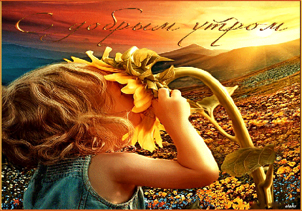 Осень в дверь мне позвонила,стояла на ступеньках и ждала. Я обомлела, когда Ей открыла,такой она Волшебною была!
================================================================
Зависло солнце в кроне тополей, 
И плещет синь небес в лучах рассвета. 
За вереницей вдаль спешащих дней, 
Уходит, отзвенев, шальное лето. 
Как дар судьбы, что нет душе милей, 
Цветные сны, что все из детства родом, 
Несут меня на крыльях журавлей, 
В любимый край под синим небосводом.