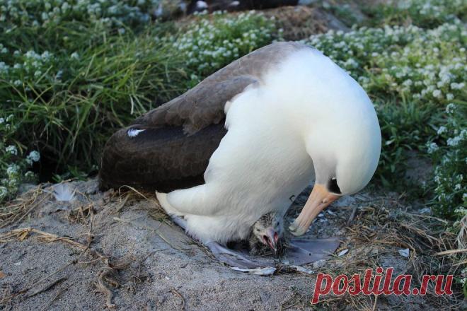 Долгожители мира | ФОТО НОВОСТИ