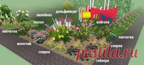 Как сделать клумбу непрерывного цветения
Перечень растений для клумбы напрямую зависит от ее месторасположения. Давайте разберем основные площадки на участке, где можно расположить цветник, и рассмотрим, какие растения подходят для их оформления.
Вариант 1. Цветник располагается на солнечном месте вдоль дорожки
Логичнее оформить его так, чтобы он просматривался со всех сторон. Поэтому в центре размещаем высокорослые растения, которые вырастают до 100-150 см (дельфиниум, люпин, вейгелу, лилейн