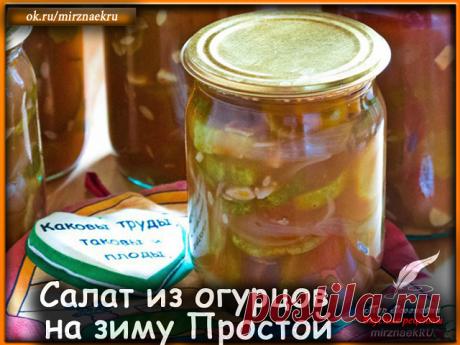 Вкусные рецепты от Мир Всезнайки