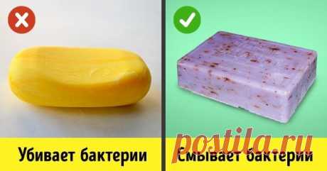 10 популярных фактов, в которые мы верили. А напрасно