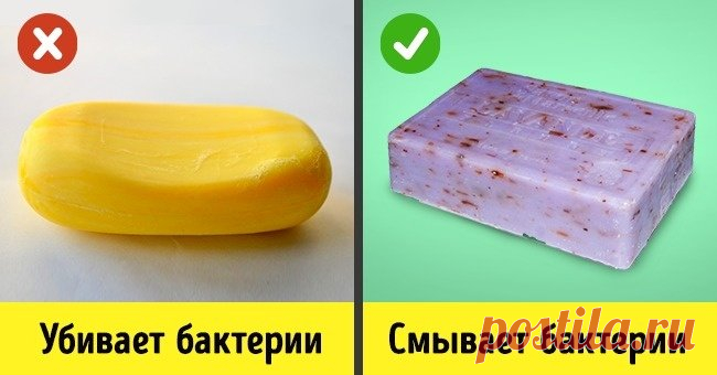 10 популярных фактов, в которые мы верили. А напрасно
